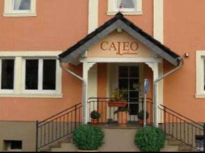 Foto: Caleo Latinum